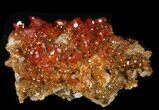 Red Vanadinite Crystal Cluster - Morocco #36986-1